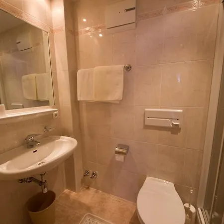 Loewen Hotel 2*